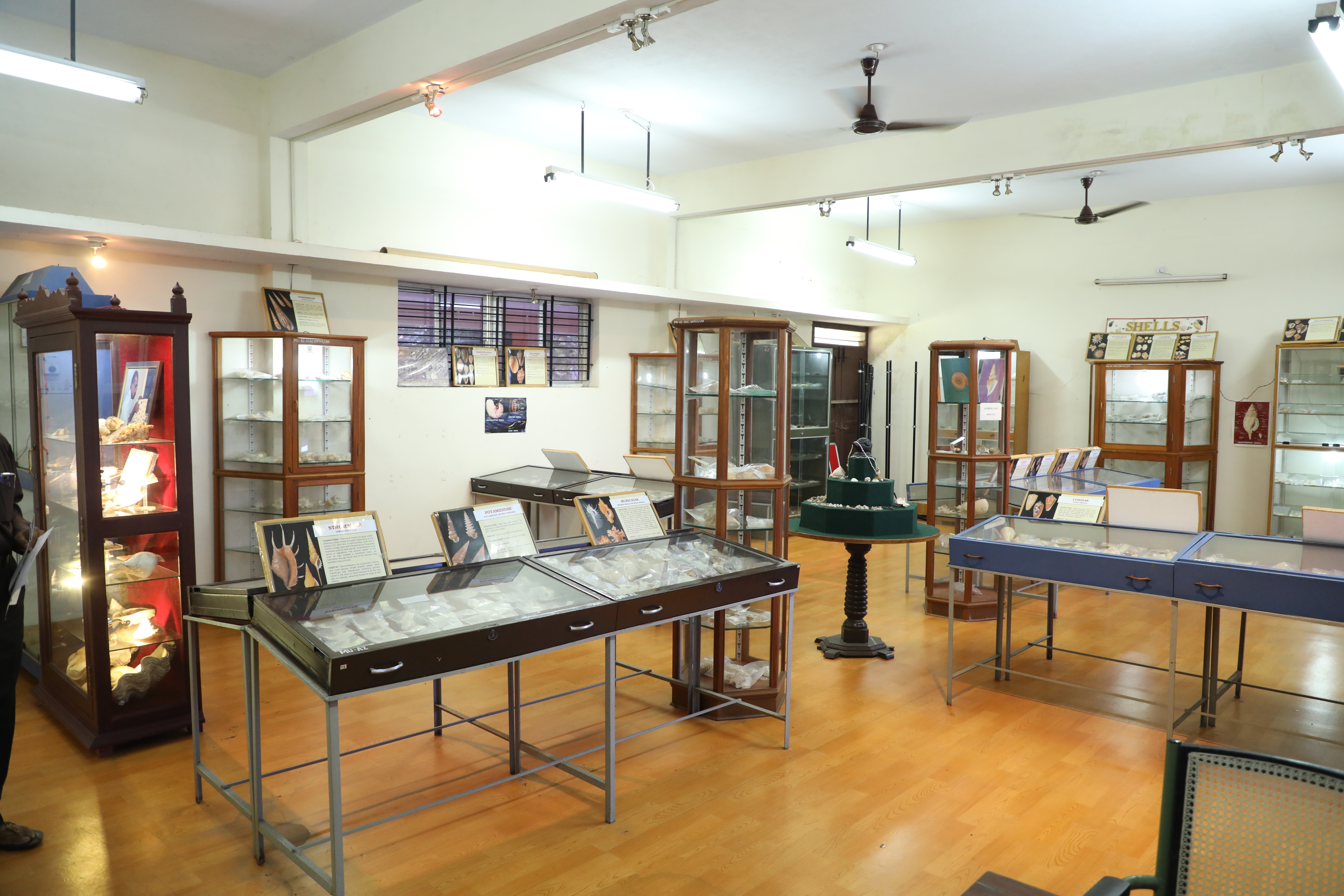 3._Applied_Zoology_Shell_Museum
