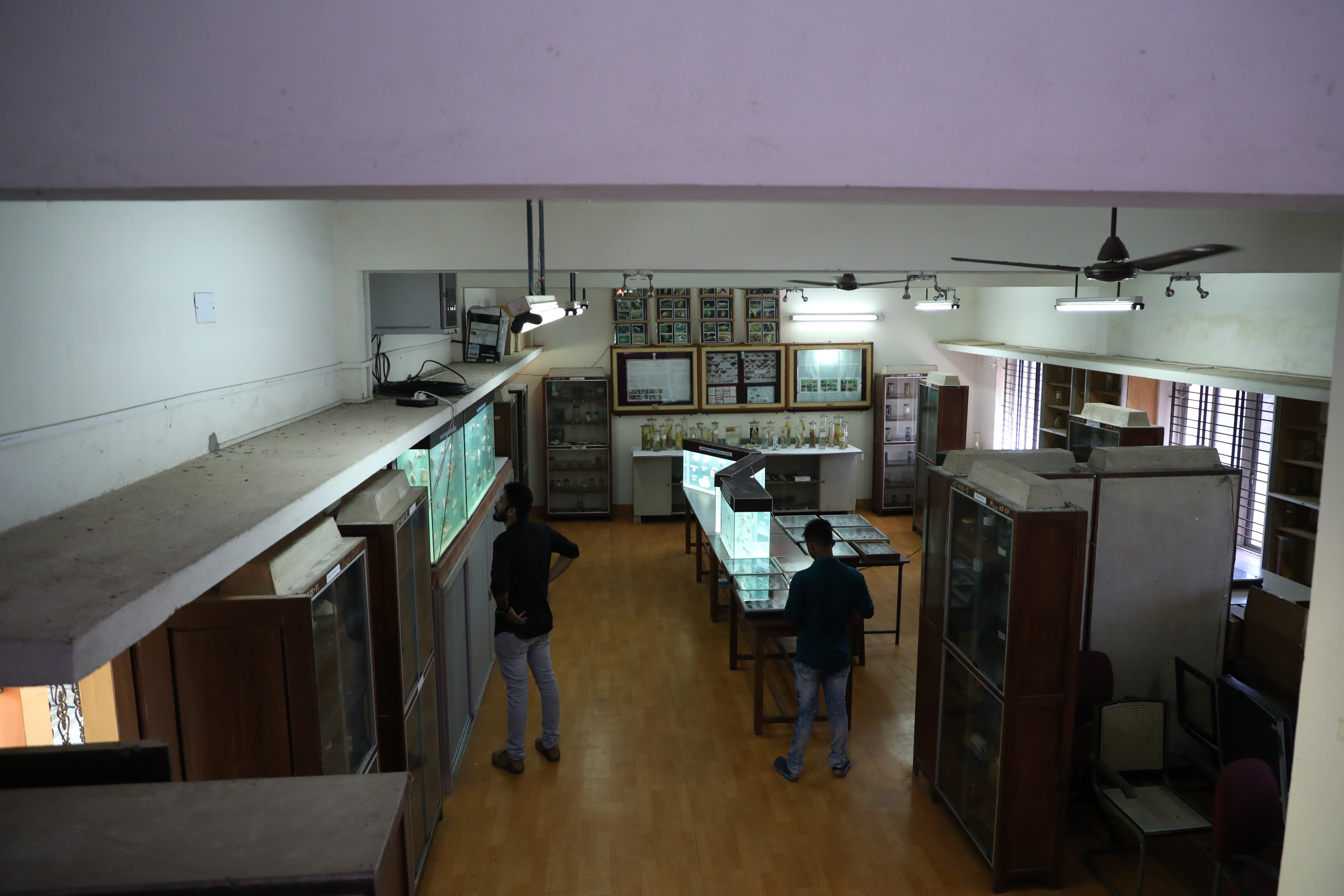 4._Applied_Zoology_Museum_14